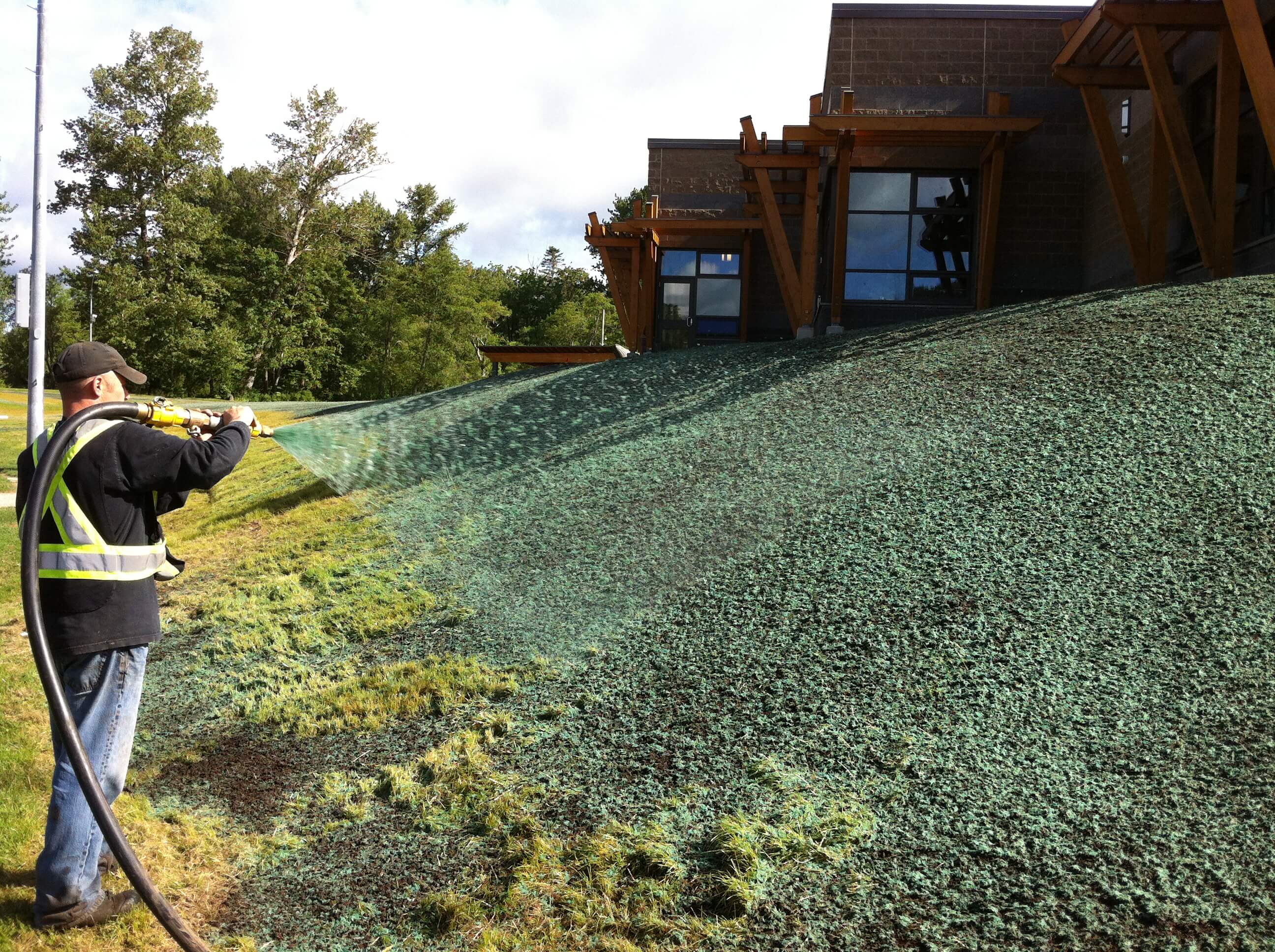 Hydroseeding چیست